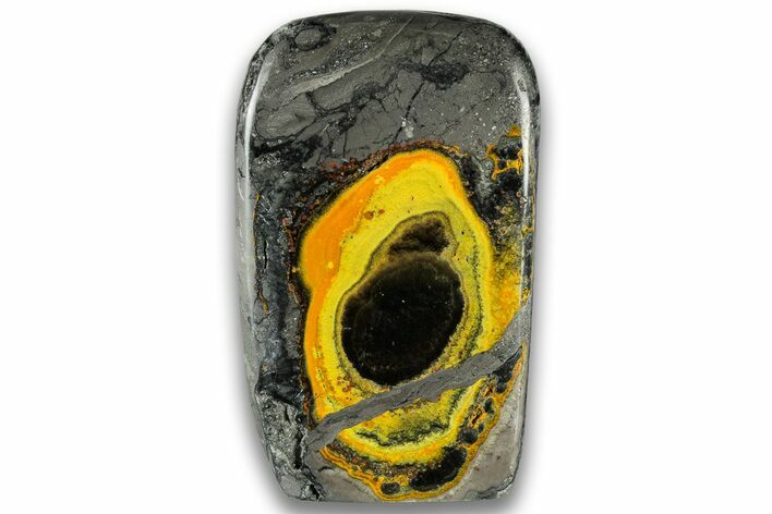 Very Vibrant, Polished Bumblebee Jasper #324947